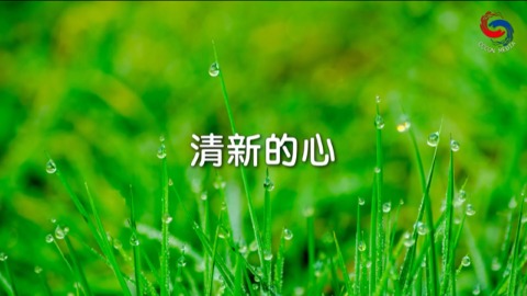 清新的心