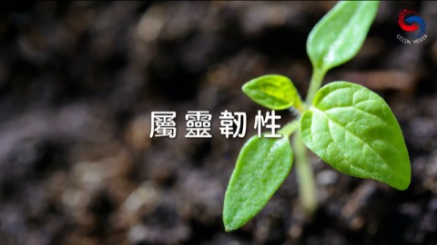 屬靈韌性