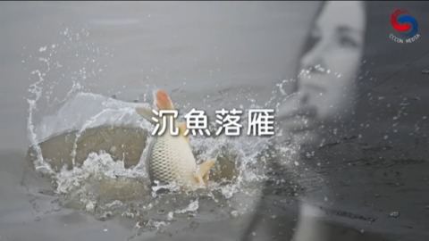 沉鱼落雁