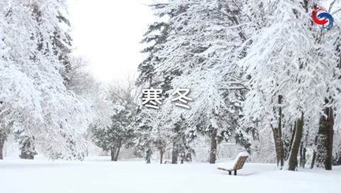 寒冬
