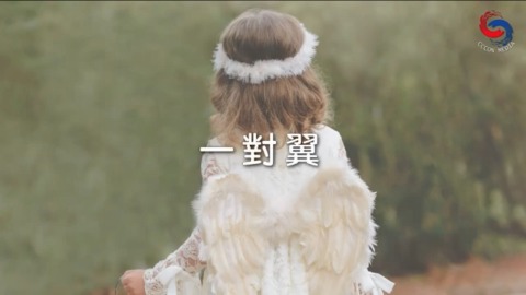 一對翼