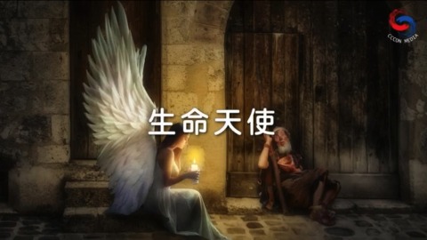 生命天使