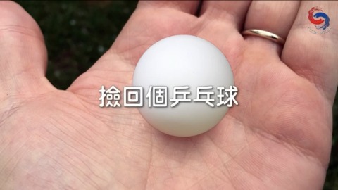 執番個乒乓波