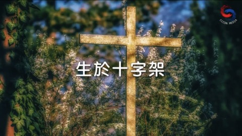 生於十字架