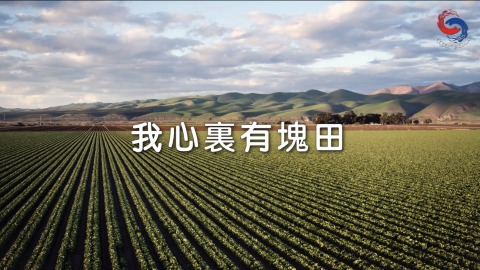 我的心裏有塊田