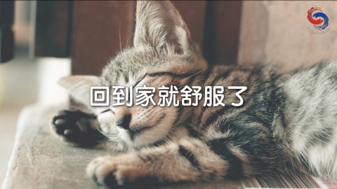 回到家就舒服了