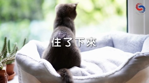 住了下來