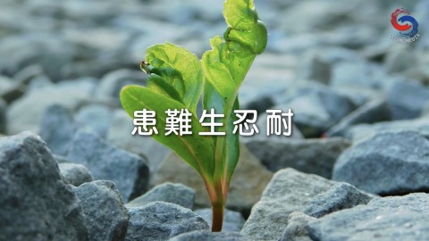 患难生忍耐