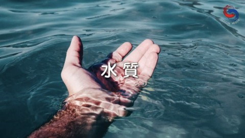 水質