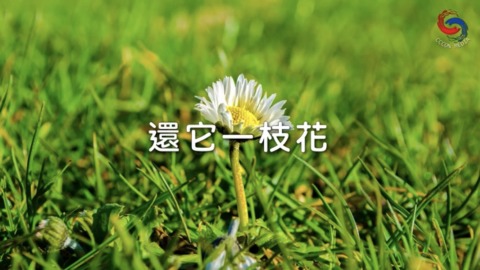 還它一枝花
