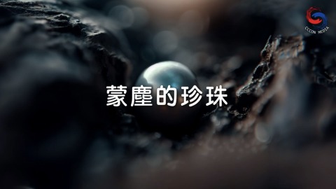 蒙塵的珍珠