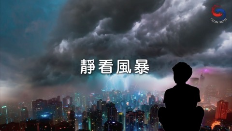 靜看風暴