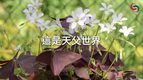 這是天父世界