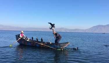 忠心
