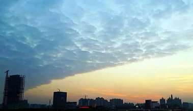 怎样理解和回应？