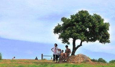 我的空間、主的居所