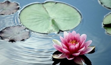 活出聖潔