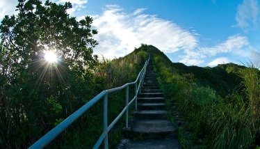 不够彻底