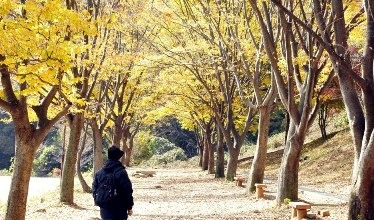 退休是一個新階段