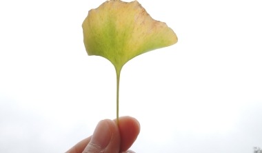 想擁有更多