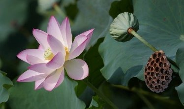 圣洁的意义