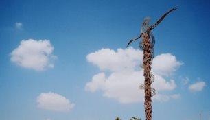 求助