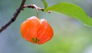 配合信心的行为