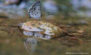 思想與行為