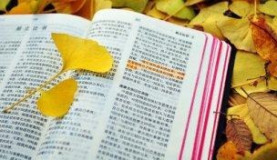 不能忽視神的話