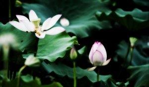 不要叫圣灵担忧