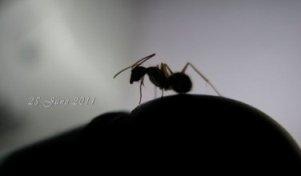 懶惰不是藉口