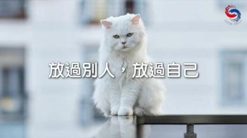 放過別人,放過自己