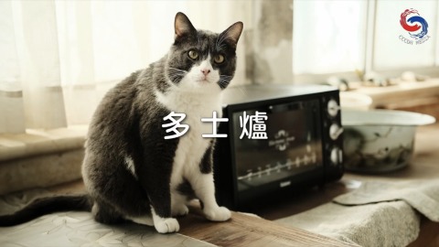 多士爐