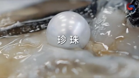 珍珠