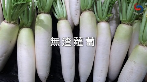 無渣蘿蔔