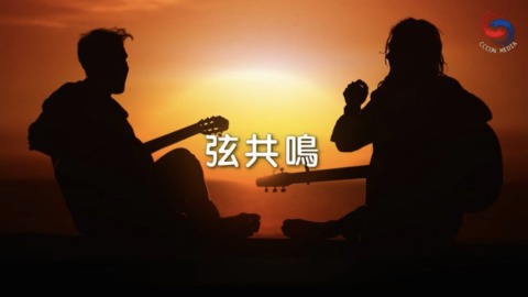 弦共鳴
