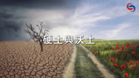 硬土與沃土