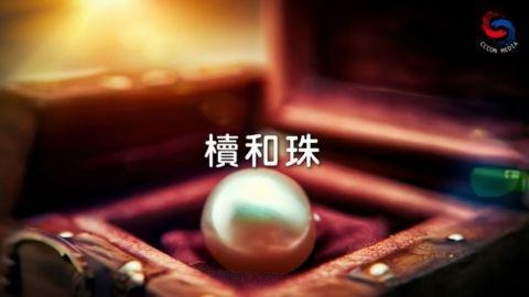 櫝和珠