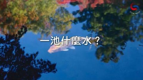一池什麼水？