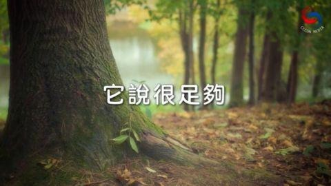 它說很足夠