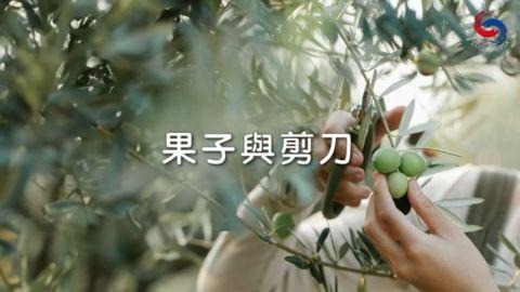 果子與剪刀