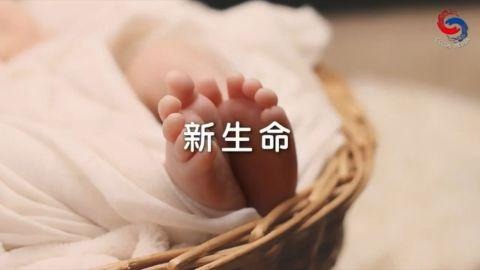 新生命