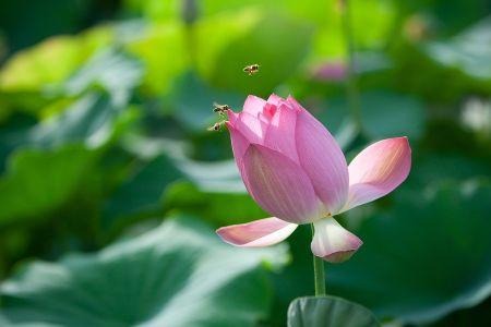 新生命的本質，脫去舊人穿上新人