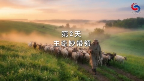 主奇妙帶領