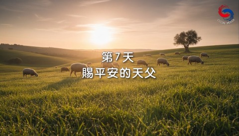 赐平安的天父