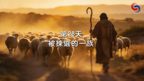 被揀選的一族