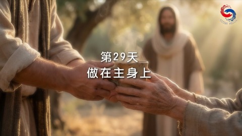 做在主身上