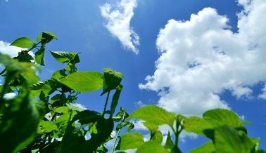 你今日增長了嗎？
