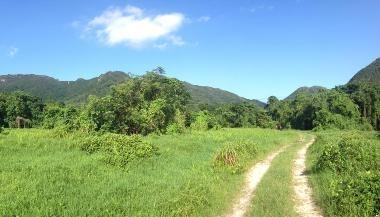 行道也是根本