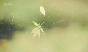 恶人与罪人需以不同对待